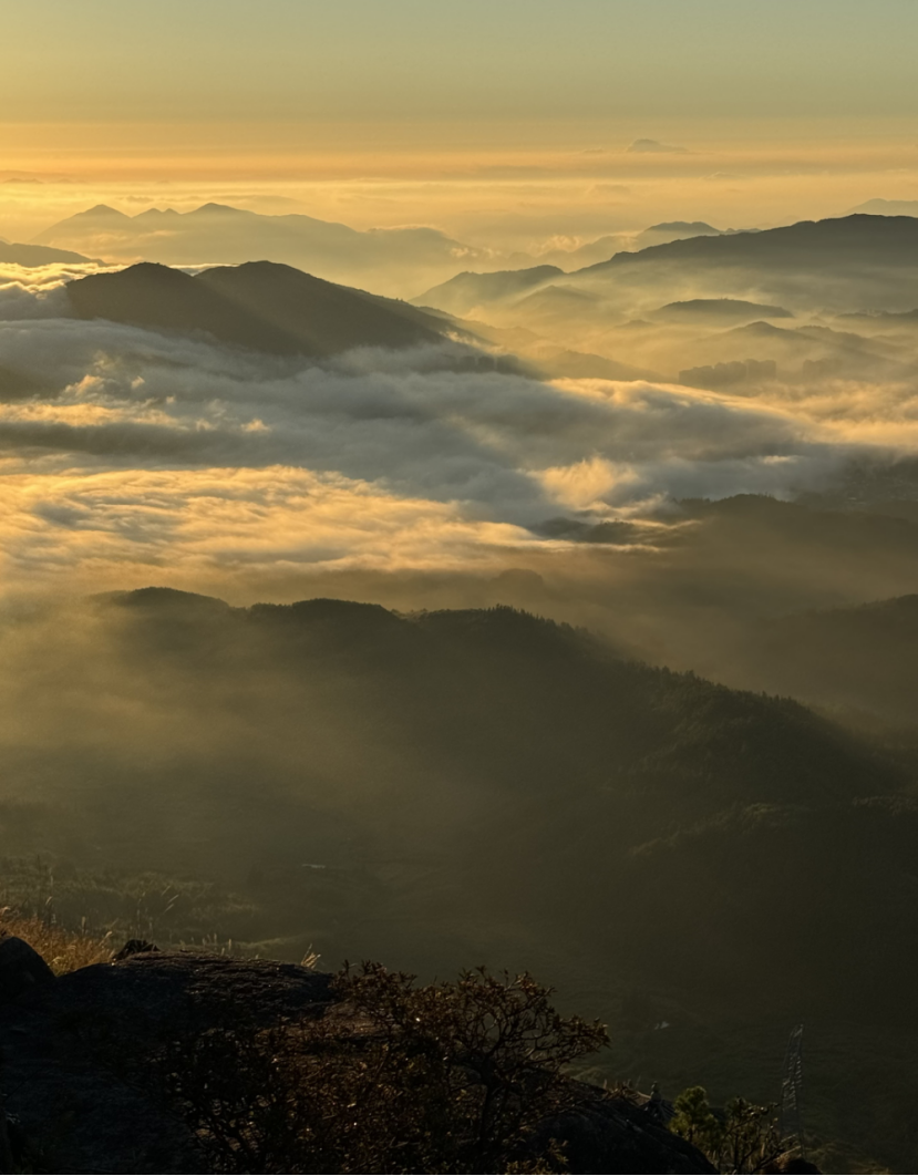 微信图片_20251231172855.png 微信图片_20251231172855.png